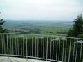 Thringer Wald??