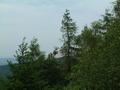 Blick ber die Wipfel